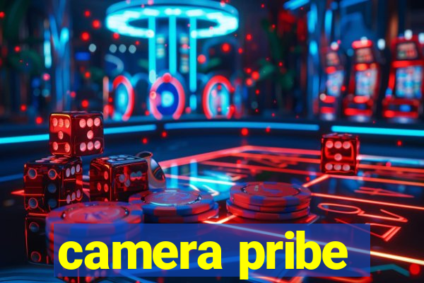 camera pribe